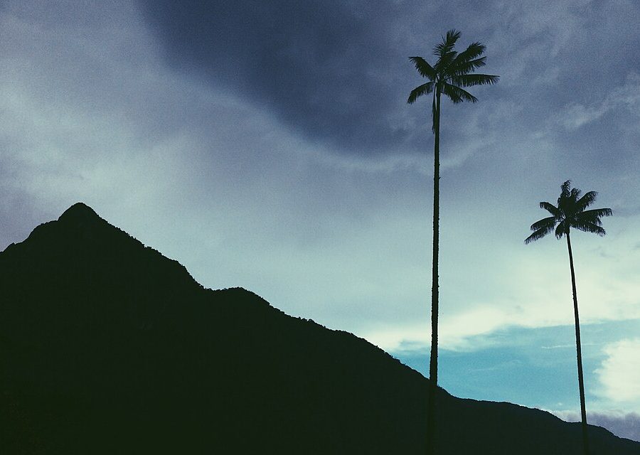 Cocora Valley, Colombia